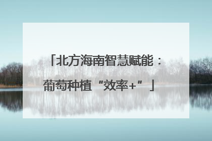 北方海南智慧赋能：葡萄种植“效率+”