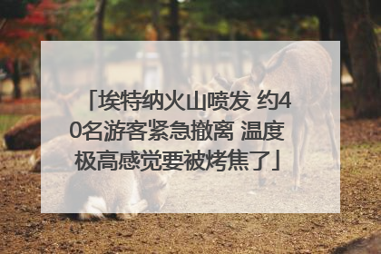 埃特纳火山喷发 约40名游客紧急撤离 温度极高感觉要被烤焦了