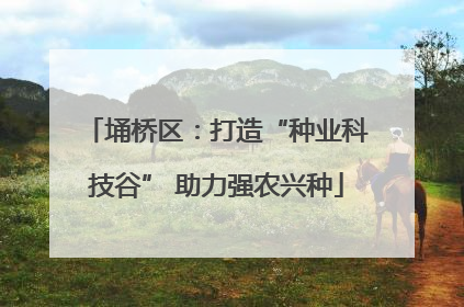 埇桥区：打造“种业科技谷” 助力强农兴种