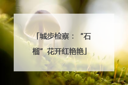 城步检察：“石榴”花开红艳艳