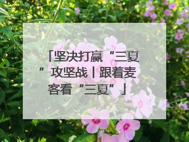 坚决打赢“三夏”攻坚战丨跟着麦客看“三夏”