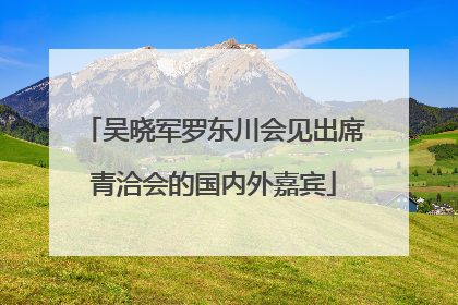 吴晓军罗东川会见出席青洽会的国内外嘉宾