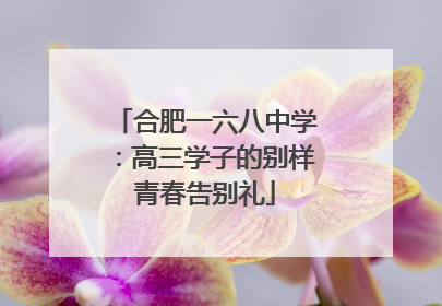 合肥一六八中学：高三学子的别样青春告别礼