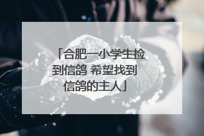 合肥一小学生捡到信鸽 希望找到信鸽的主人