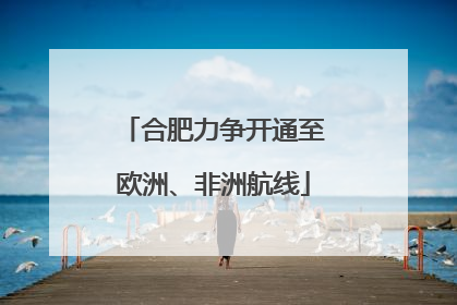 合肥力争开通至欧洲、非洲航线