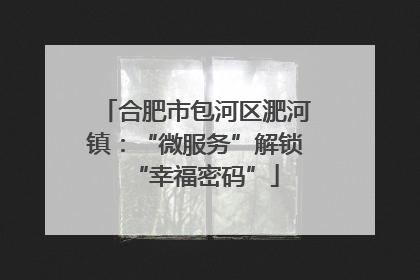 合肥市包河区淝河镇：“微服务”解锁“幸福密码”