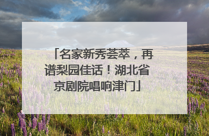 名家新秀荟萃，再谱梨园佳话！湖北省京剧院唱响津门