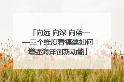 向远 向深 向蓝——三个维度看福建如何增强海洋创新动能