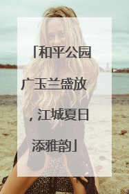 和平公园广玉兰盛放，江城夏日添雅韵