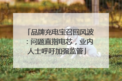 品牌充电宝召回风波：问题直指电芯，业内人士呼吁加强监管