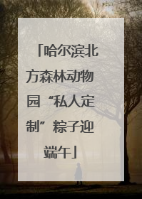 哈尔滨北方森林动物园“私人定制”粽子迎端午