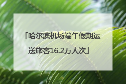 哈尔滨机场端午假期运送旅客16.2万人次
