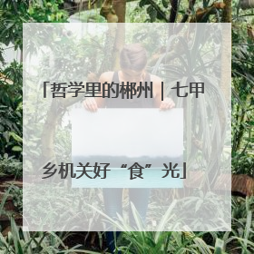 哲学里的郴州｜七甲乡机关好“食”光