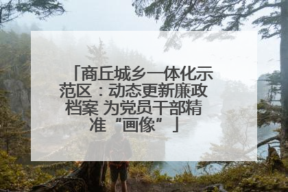 商丘城乡一体化示范区：动态更新廉政档案 为党员干部精准“画像”