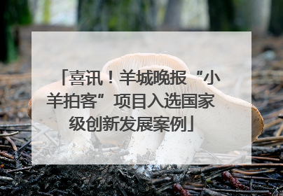 喜讯！羊城晚报“小羊拍客”项目入选国家级创新发展案例