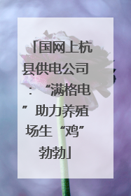 国网上杭县供电公司：“满格电”助力养殖场生“鸡”勃勃