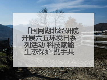 国网湖北经研院开展六五环境日系列活动 科技赋能生态保护 携手共建绿色电网