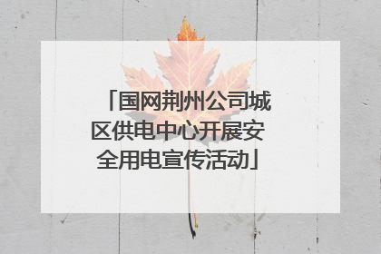国网荆州公司城区供电中心开展安全用电宣传活动