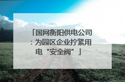 国网衡阳供电公司：为园区企业拧紧用电“安全阀”