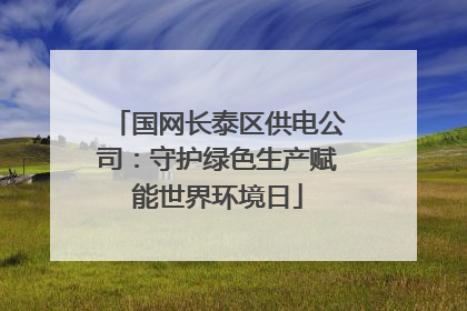国网长泰区供电公司：守护绿色生产赋能世界环境日