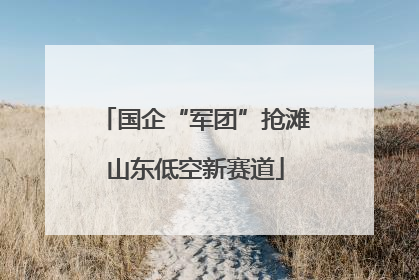 国企“军团”抢滩山东低空新赛道