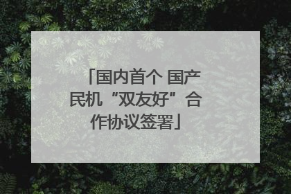 国内首个 国产民机“双友好”合作协议签署