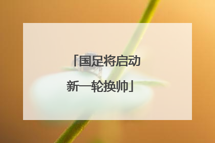 国足将启动新一轮换帅