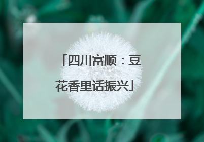 四川富顺：豆花香里话振兴