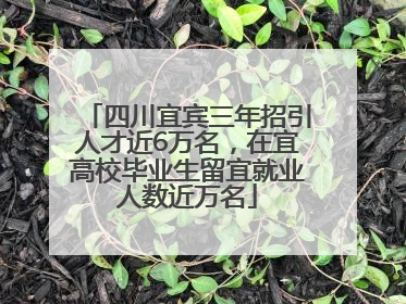 四川宜宾三年招引人才近6万名，在宜高校毕业生留宜就业人数近万名