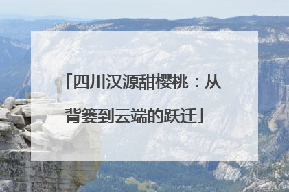 四川汉源甜樱桃：从背篓到云端的跃迁