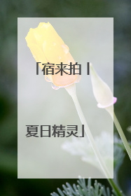 宿来拍丨夏日精灵