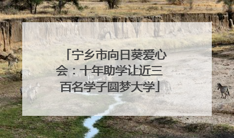 宁乡市向日葵爱心会：十年助学让近三百名学子圆梦大学