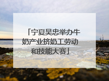 宁夏吴忠举办牛奶产业挤奶工劳动和技能大赛