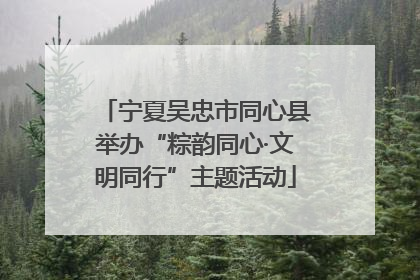 宁夏吴忠市同心县举办“粽韵同心·文明同行”主题活动