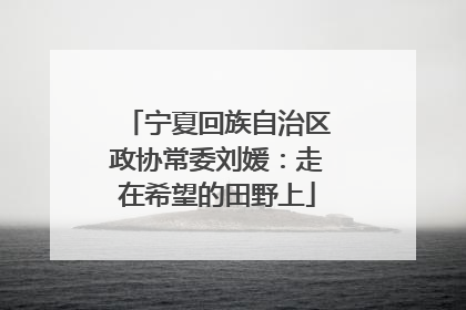 宁夏回族自治区政协常委刘媛：走在希望的田野上