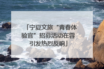 宁夏文旅“青春体验官”招募活动在蓉引发热烈反响