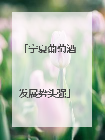 宁夏葡萄酒发展势头强