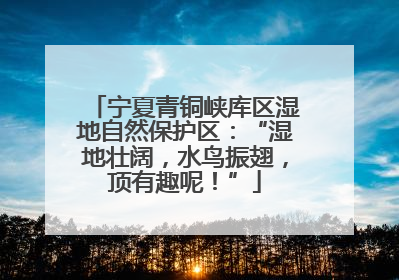 宁夏青铜峡库区湿地自然保护区：“湿地壮阔，水鸟振翅，顶有趣呢！”