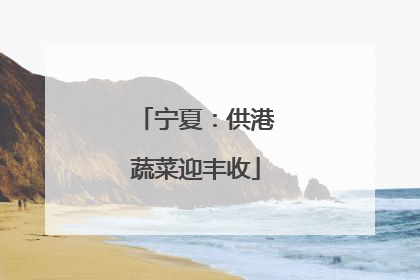 宁夏：供港蔬菜迎丰收