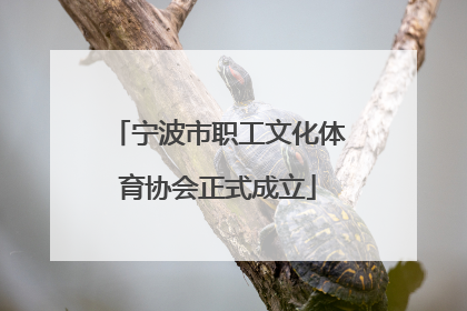 宁波市职工文化体育协会正式成立
