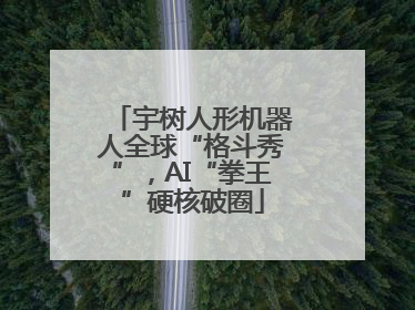 宇树人形机器人全球“格斗秀”，AI“拳王”硬核破圈