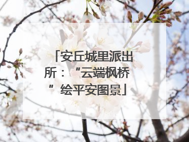 安丘城里派出所：“云端枫桥”绘平安图景