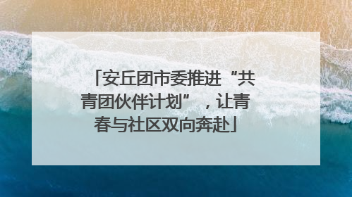 安丘团市委推进“共青团伙伴计划”，让青春与社区双向奔赴