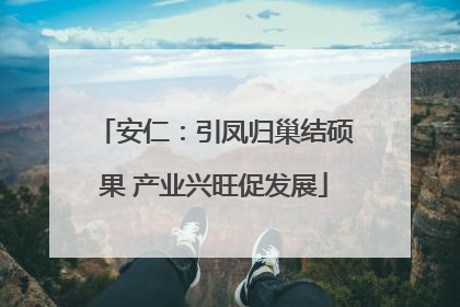 安仁：引凤归巢结硕果 产业兴旺促发展