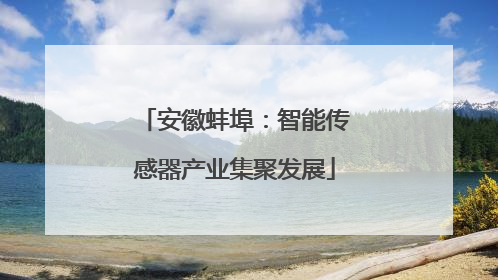 安徽蚌埠：智能传感器产业集聚发展