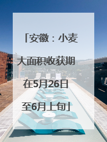 安徽：小麦大面积收获期在5月26日至6月上旬