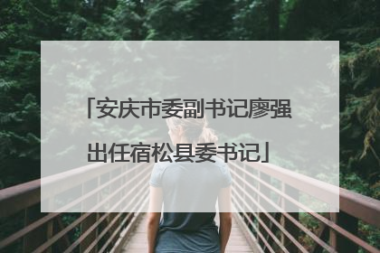 安庆市委副书记廖强出任宿松县委书记