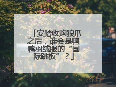 安踏收购狼爪之后，谁会是鸭鸭羽绒服的“国际跳板”？