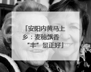 安阳内黄马上乡：麦穗飘香 “丰”景正好