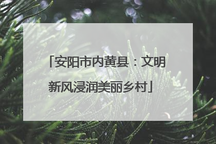 安阳市内黄县：文明新风浸润美丽乡村